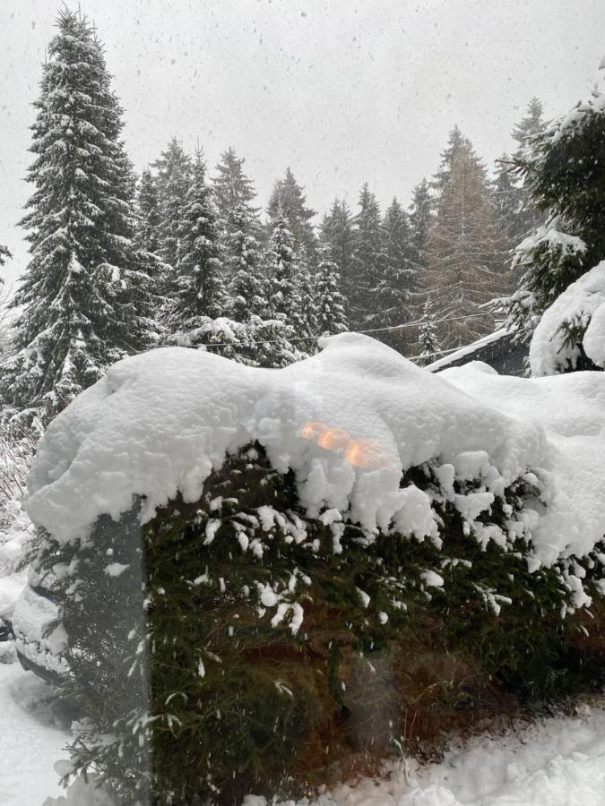 Schoenwald Waldchalet Am Musenberg Stryck Exterior foto